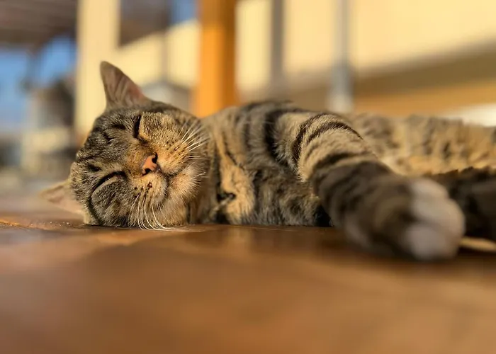 营地 Karavana Tropicana