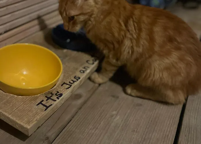 Karavana Tropicana * Varna