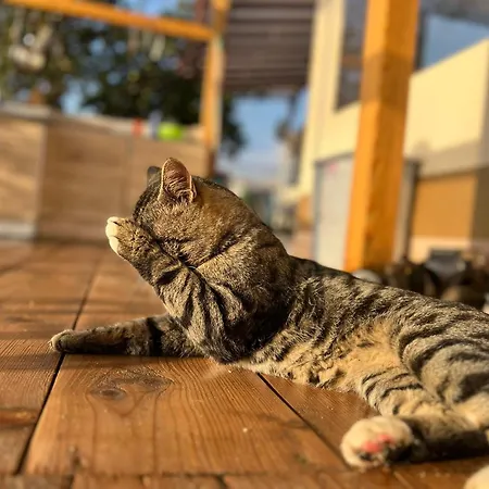 Karavana Tropicana 瓦爾納