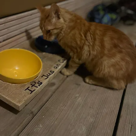 Karavana Tropicana * 瓦爾納