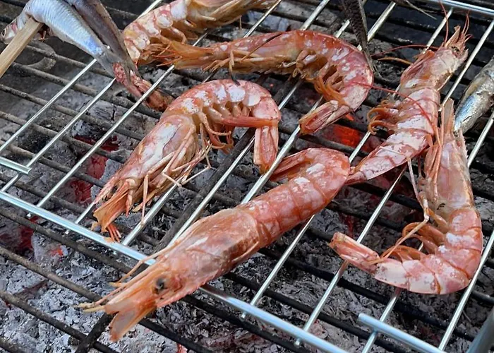 Karavana Tropicana Campsite Varna