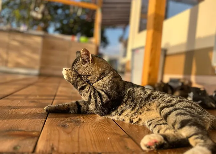 Karavana Tropicana Varna