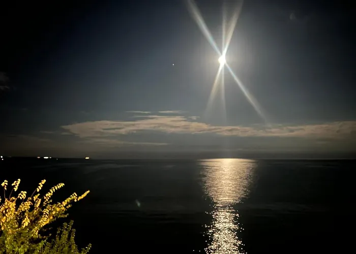 Karavana Tropicana Varna